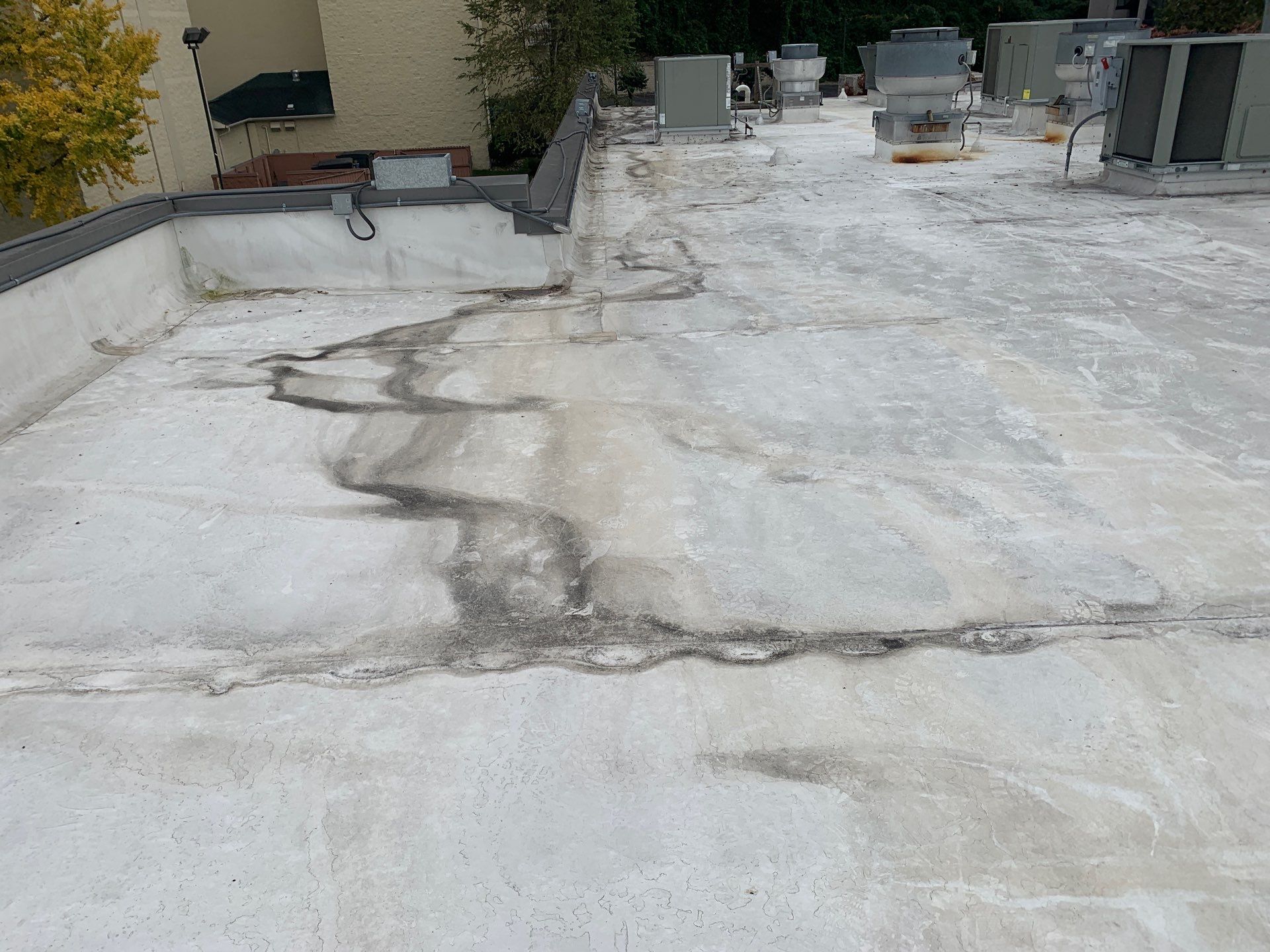 Wind Damage Repair