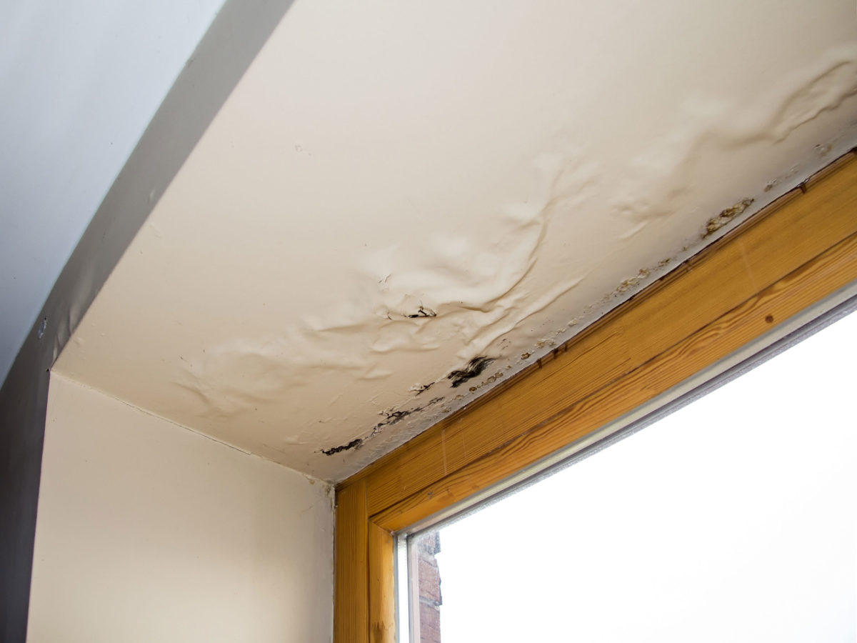 Sometimes the Roof Is Failing and the Rain Never Touched It